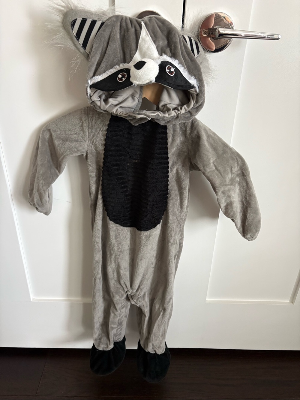 Racoon Halloween Costume